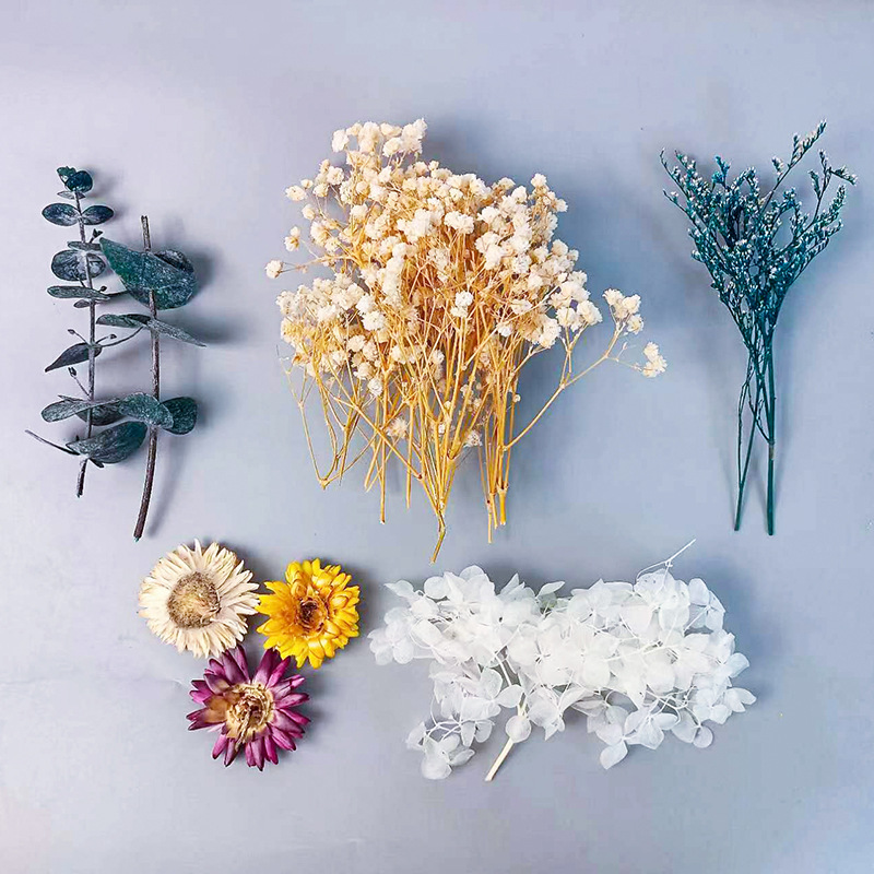 다양한 건조 꽃 세트 1팩 DIY 공예 홈 웨딩 장식  - Craft Embellishments 리뷰 및 가격