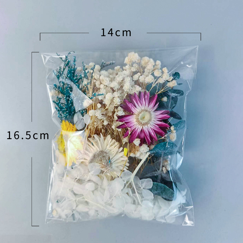 다양한 건조 꽃 세트 1팩 DIY 공예 홈 웨딩 장식  - Craft Embellishments 리뷰 및 가격